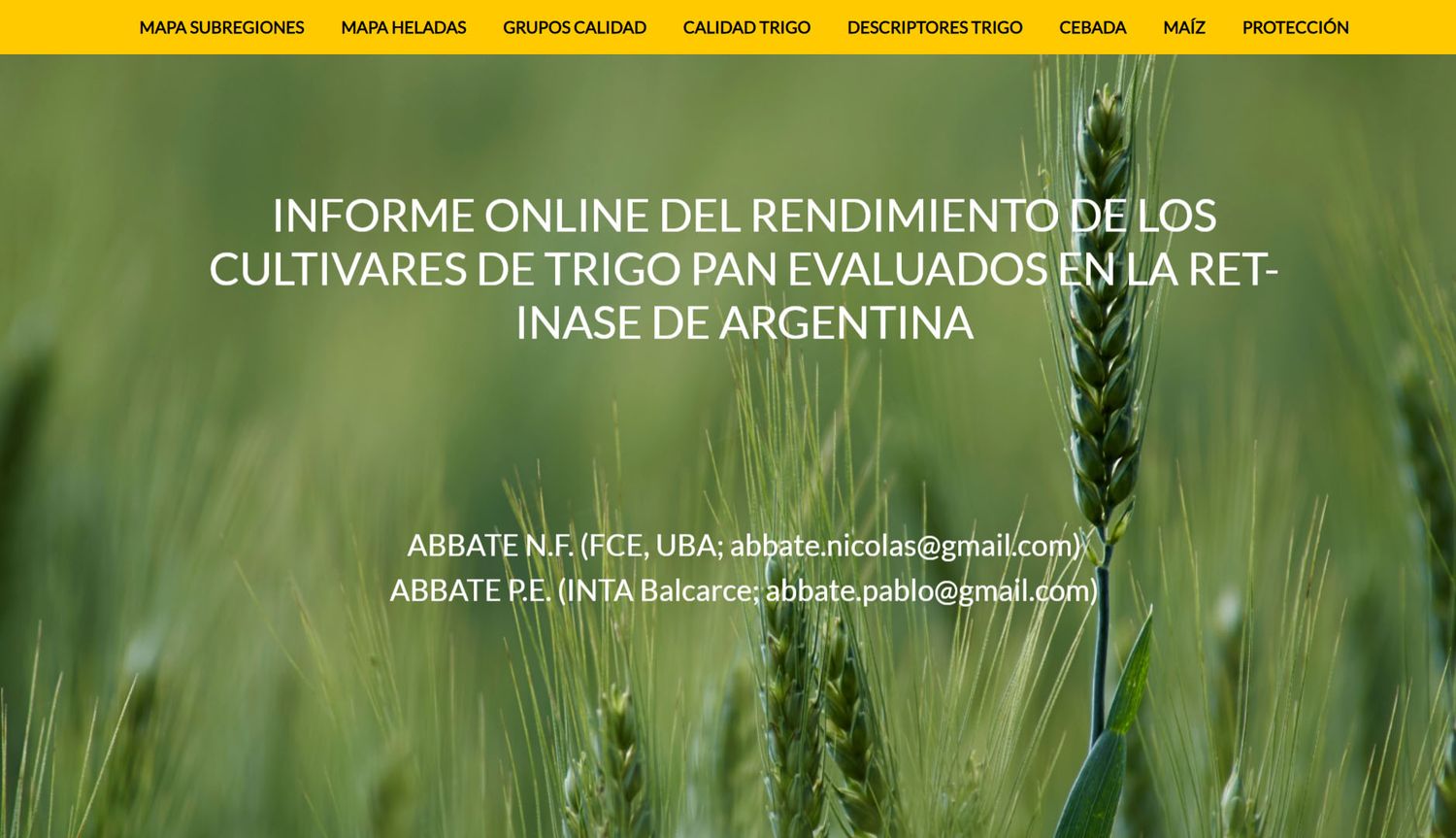 Cultivaresargentinos.com, un insumo digital para planificar la fina
