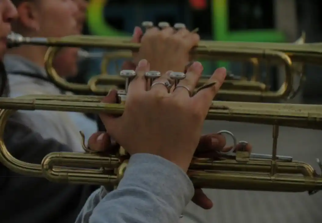 banda lisa escuela normal