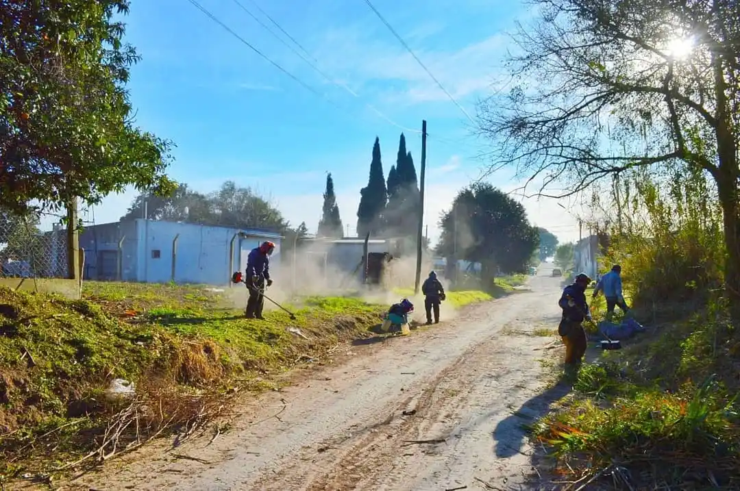 Alta presencia de roedores en la ciudad