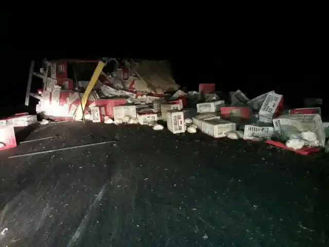 Camión que trasladaba pollos de soychú volcó en la Ruta 12: el chofer fue hospitalizado