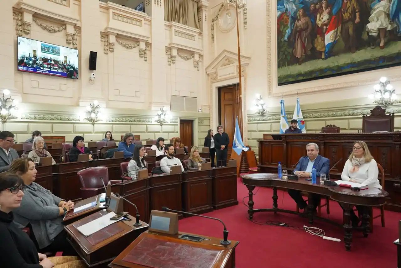 La salud mental en tiempos de pandemia, tema de debate y análisis en Diputados