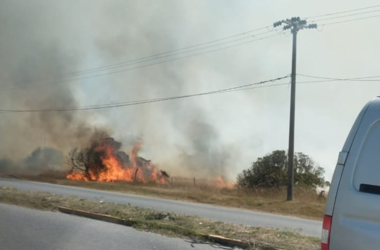 Calor extremo: un nuevo incendio en Mar del Plata