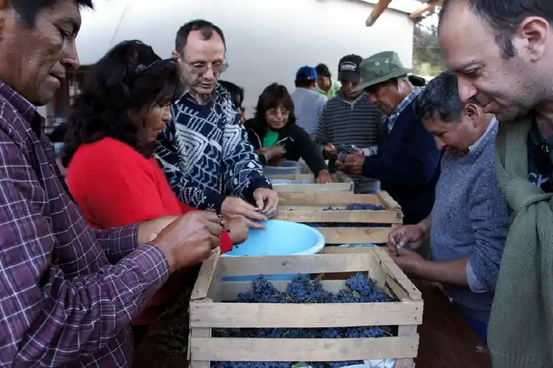 Jujuy: Nación entrega equipamiento para el desarrollo de vinos artesanales