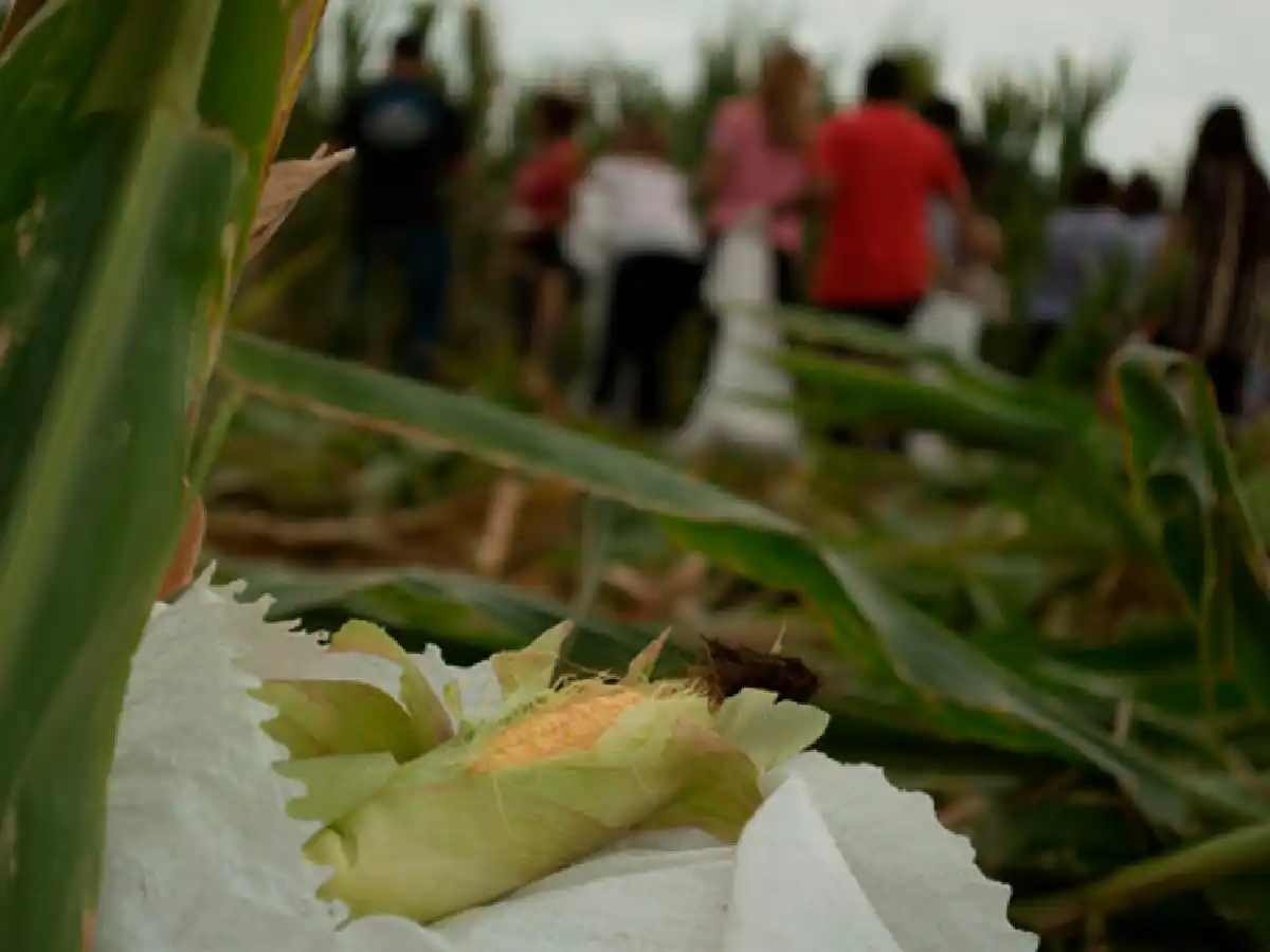 Se realizará hoy otra edición de la chocleada solidaria