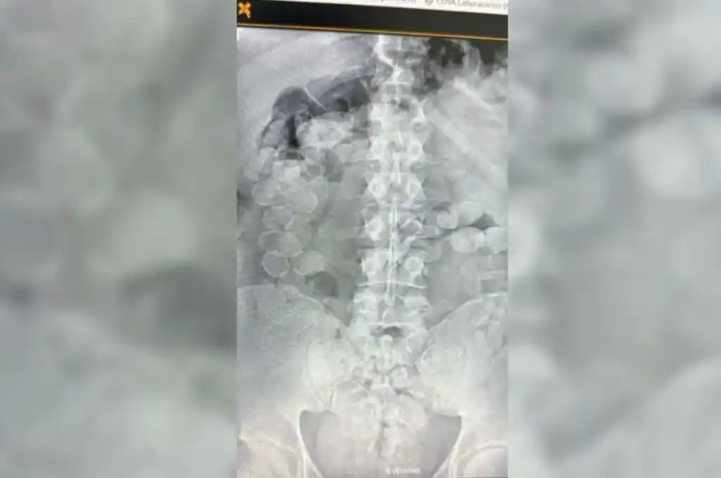 droga incautada en Ceres 1