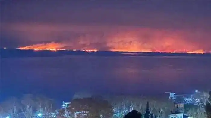 Incendios en islas: Entre Ríos instalará  torres de videovigilancia