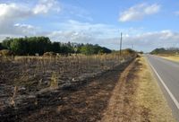 Bomberos trabajaron a destajo por distintos focos  de incendios 