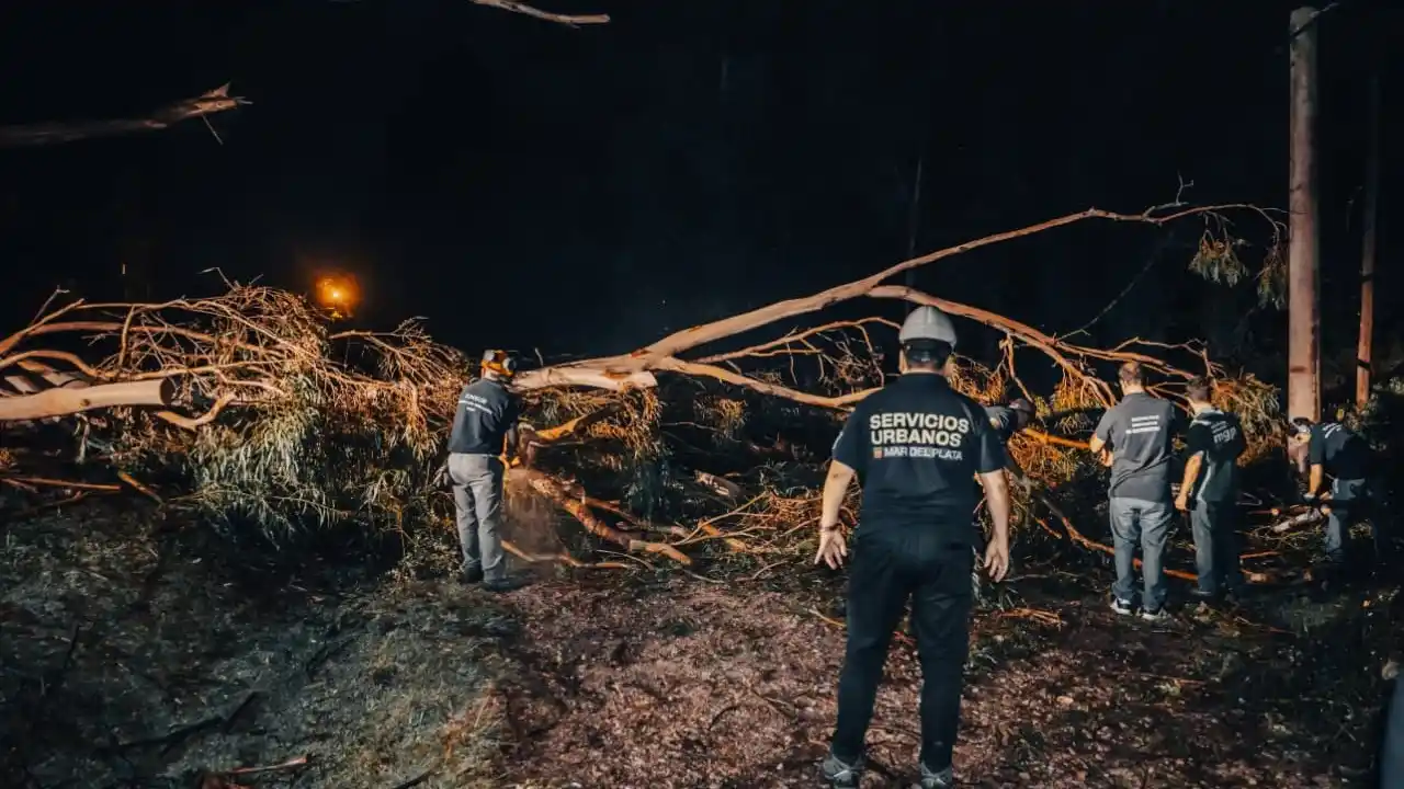 Secuelas del temporal: “Fue más de viento que de lluvia”