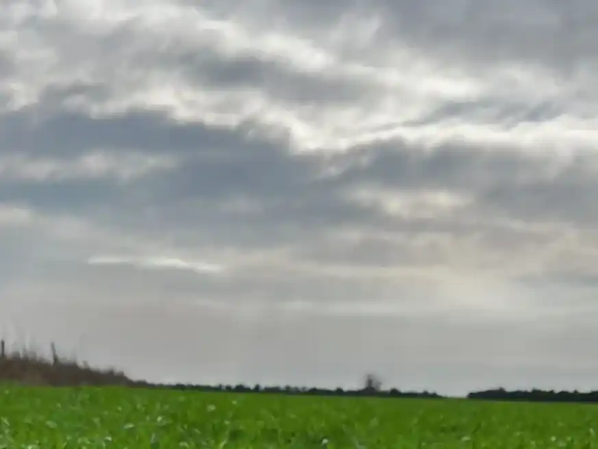 Luego de una semana con precipitaciones ininterrumpidas, los próximos siete días no se registrarán lluvias en la zona agrícola santafesina.