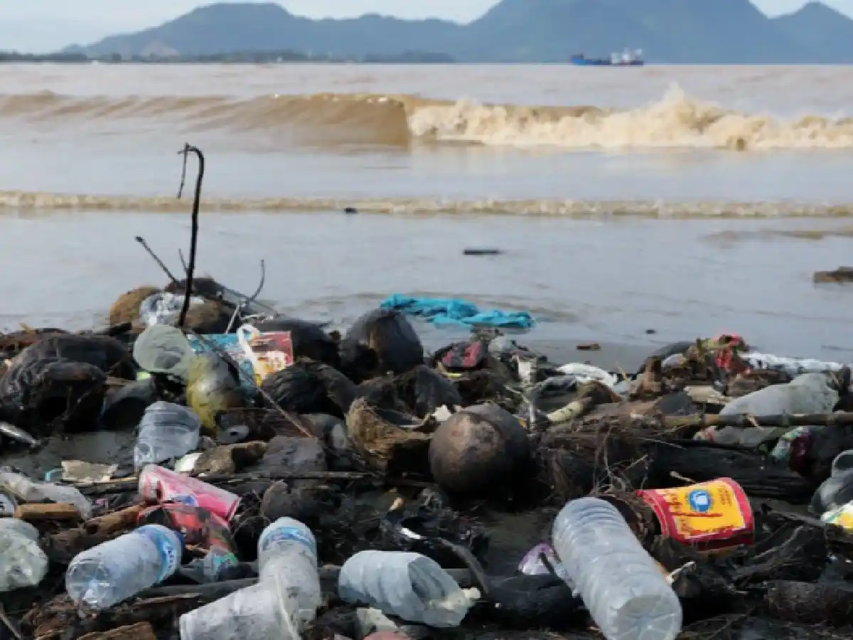 Plásticos: por qué no todos son reciclables y cuál es el daño irreversible que generan