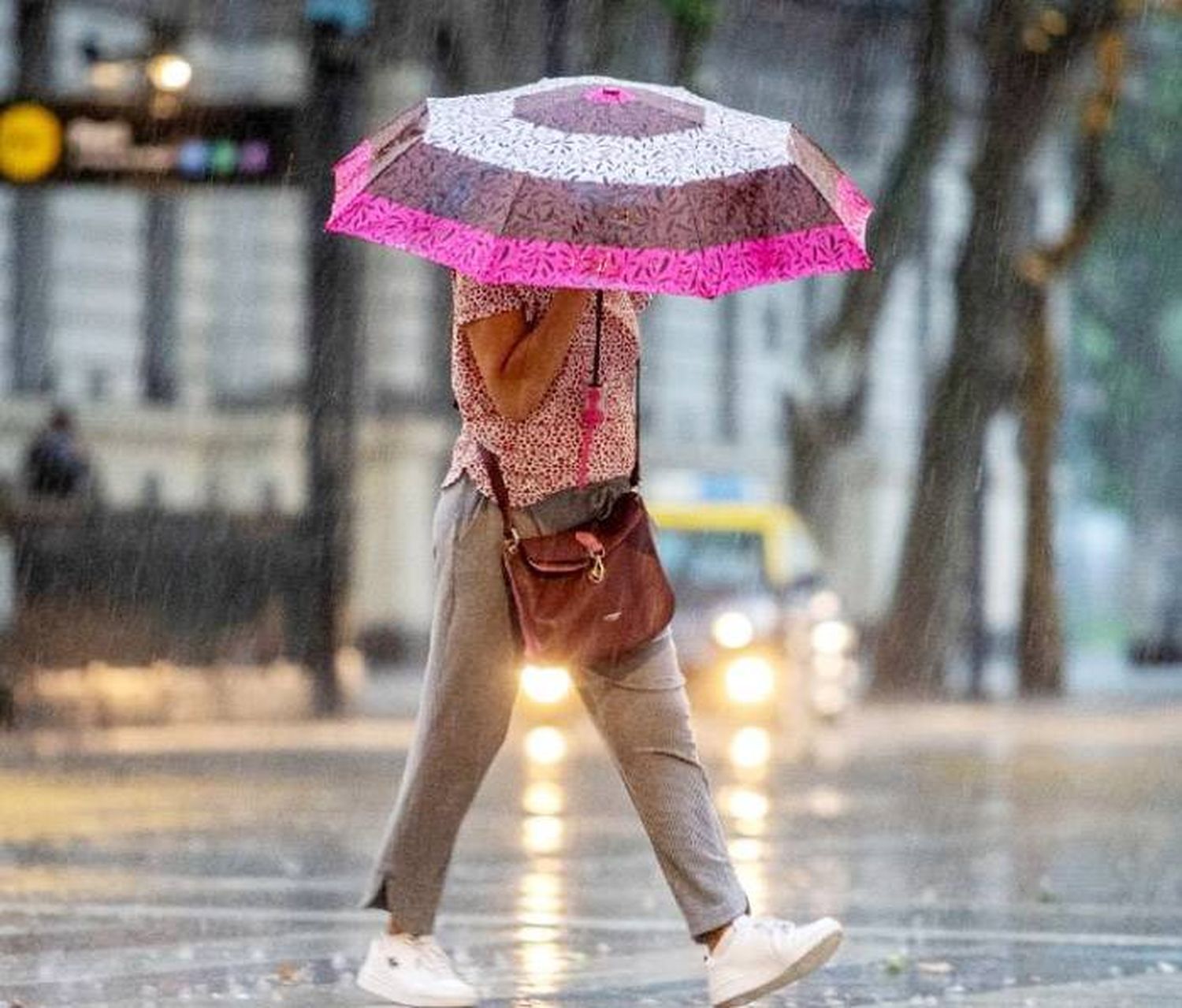 Alerta por tormentas: cuándo afectarían a importante zona de Entre Ríos