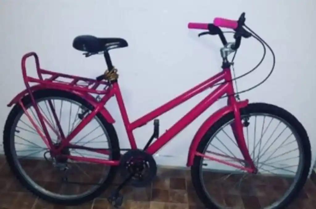 Le robaron “la bici” a la intendente de Vera