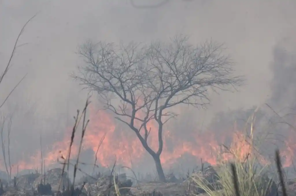 Detectaron “carboxihemoglobina” en dos pacientes santafesinos: ¿a qué se debe?