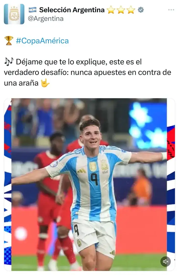 apuesta araña