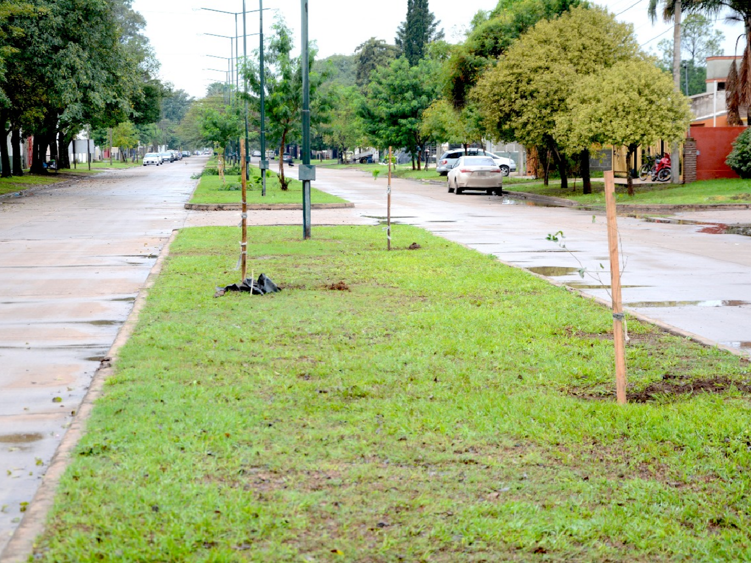 Morteros sumó 500 nuevos árboles 