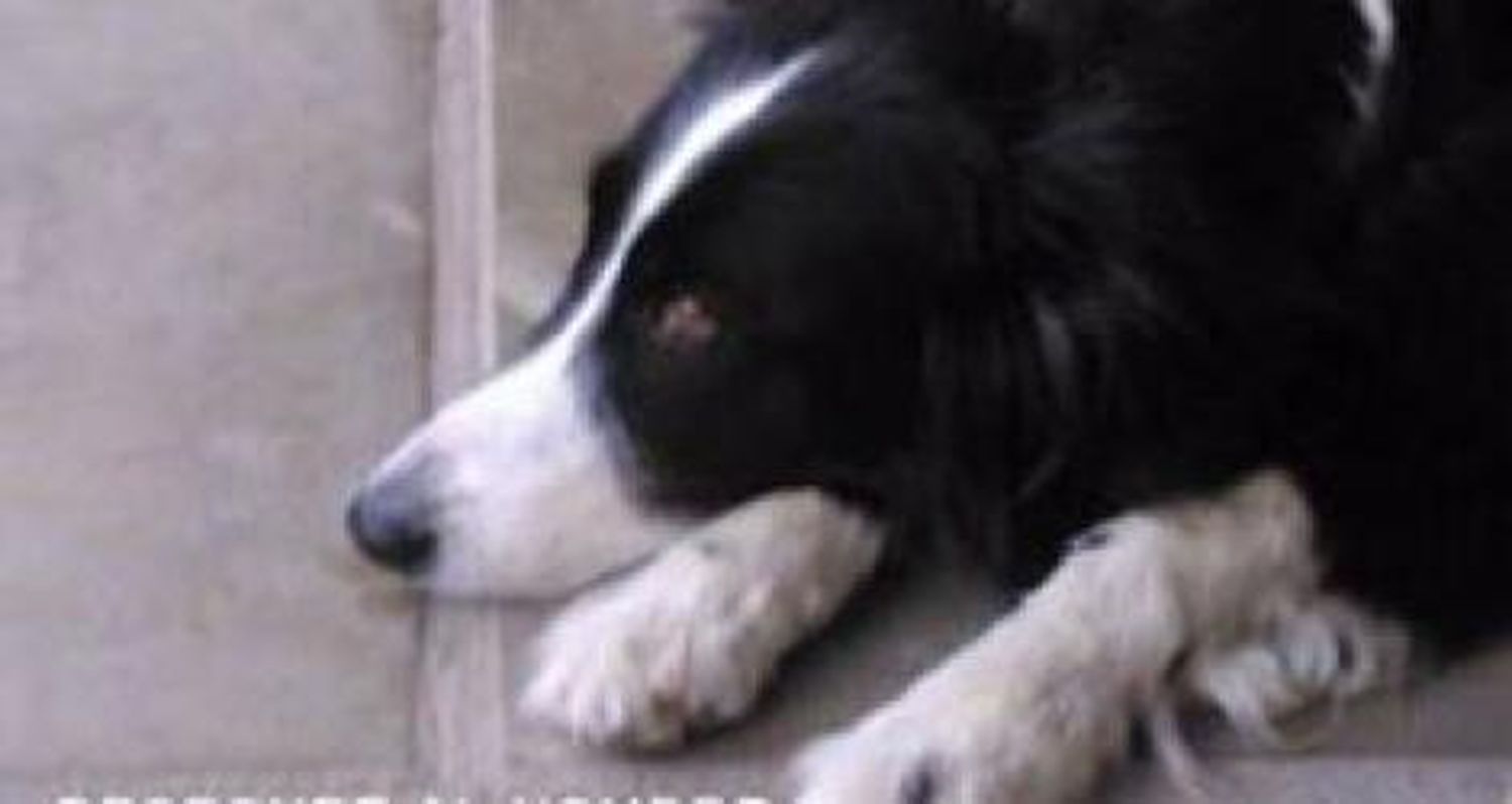 Buscan a Luna