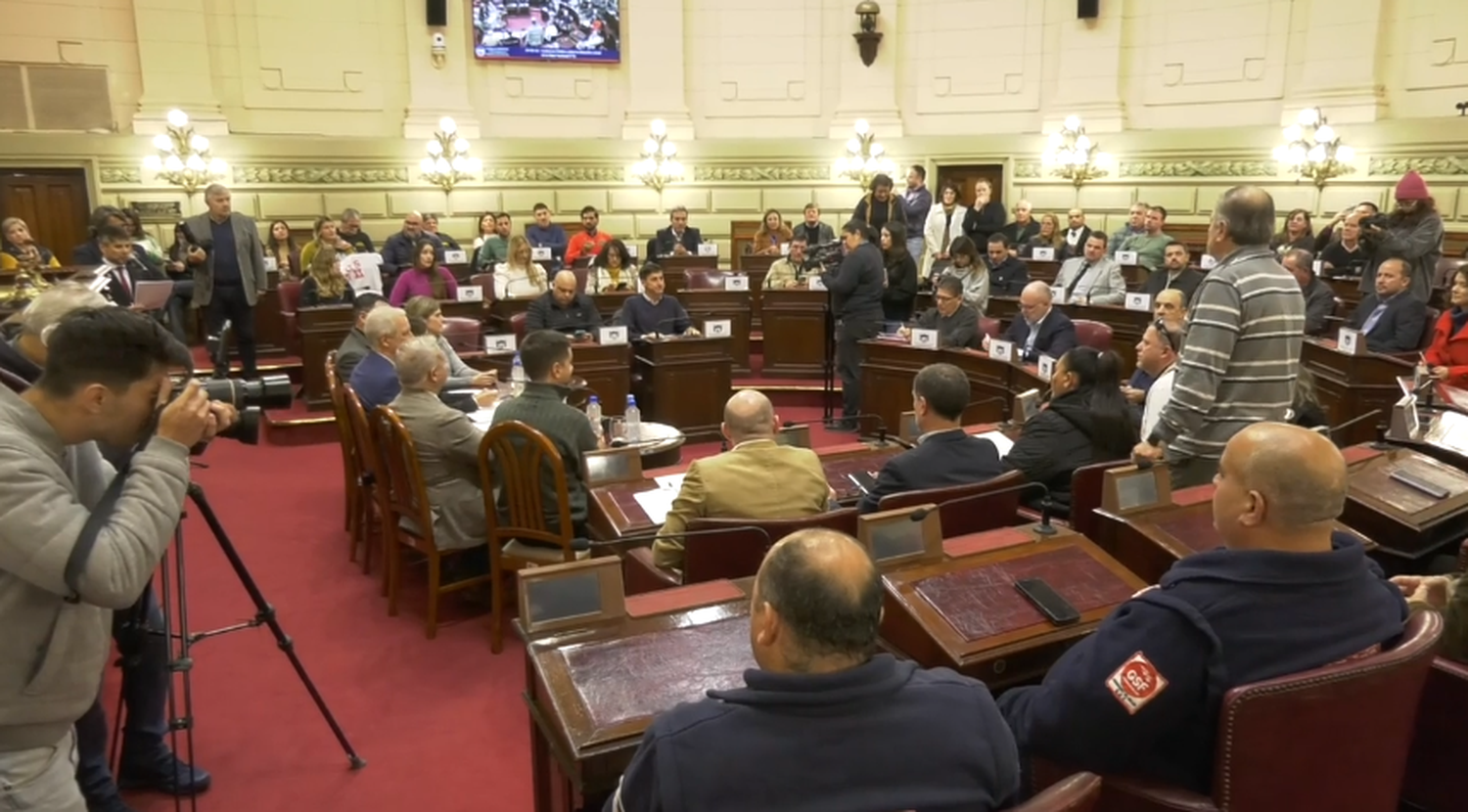 Audiencia pública en Diputados.