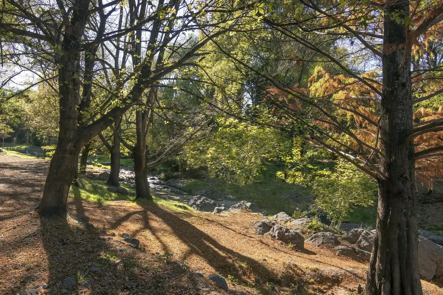 Vacaciones en Córdoba: opciones para pasar el verano en tres destinos populares de la provincia
