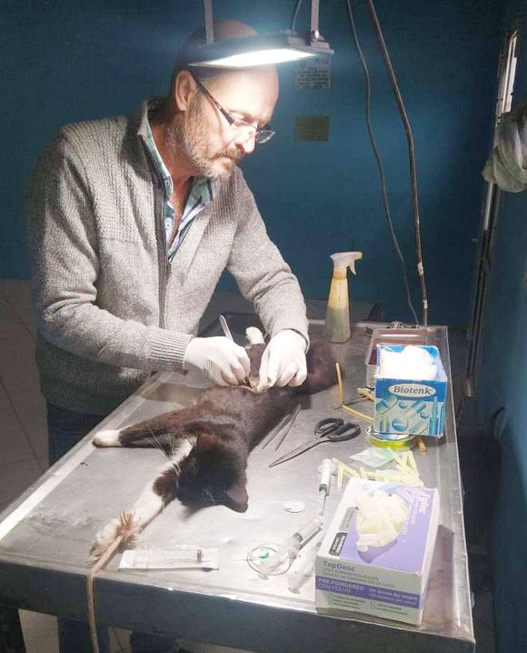 Cronograma de castraciones para los barrios