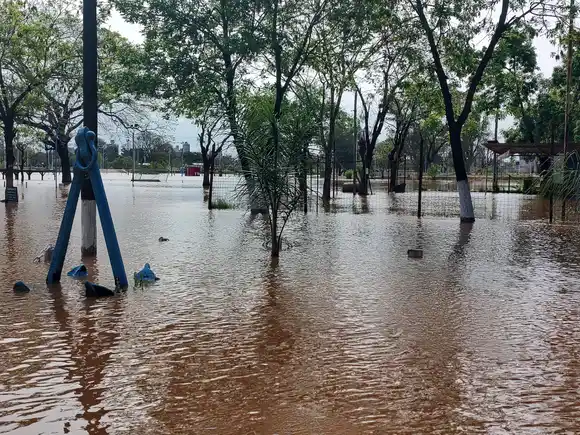 Desde Salto Grande anunciaron que el río podría superar los 13 metros