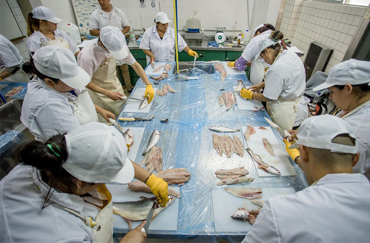 La pesca, infravalorada: "Argentina vive de espaldas al mar"