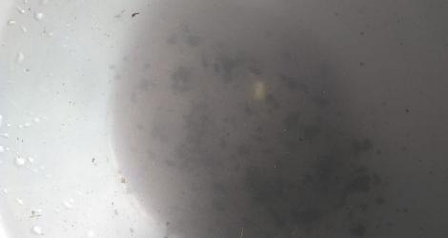 Reclamo por agua turbia en Río Tala