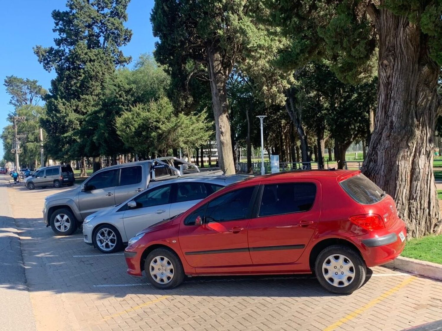 Se modifica la forma de estacionamiento a 45º ingresando de frente para pasar a un estacionamiento de culata (45º). Crédito: Prensa MVT