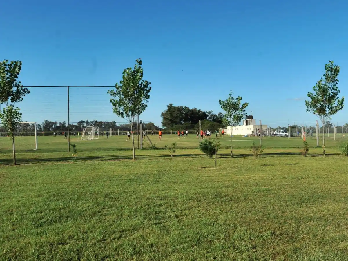 Menor robó un celular en el predio de Sportivo y fue detenido