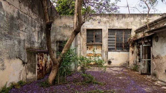 La casa de la infancia de María Elena Walsh se abrirá, y con ella, algo de su universo