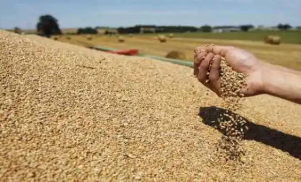 La positiva incidencia del campo