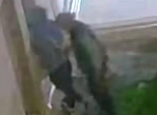 Videocámara. De una vivienda de Bahía de los Vientos captó a dos individuos cuando querían ingresar este fin de semana