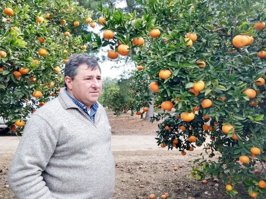 Fernando Borgo