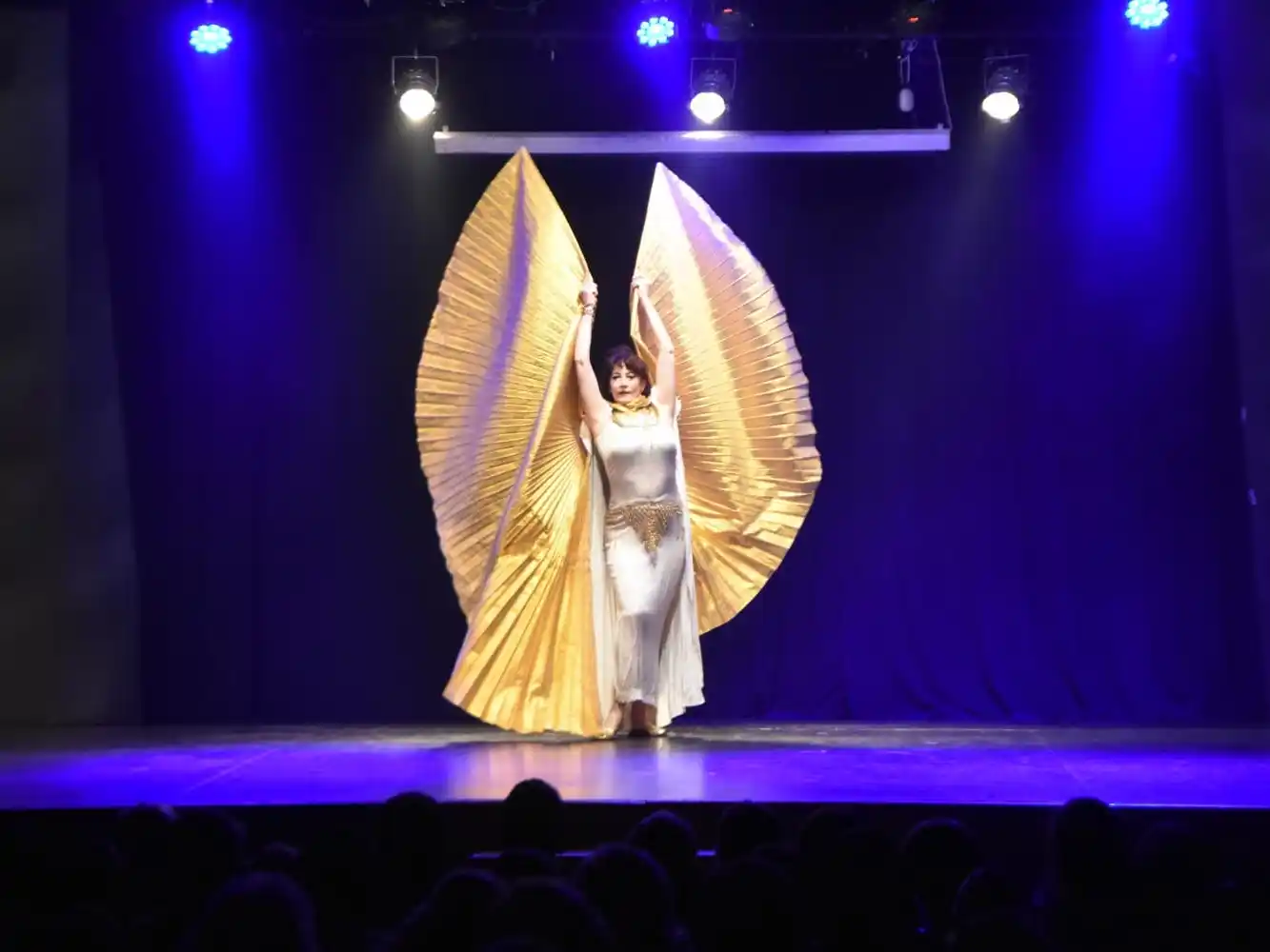 Escuela Superior de Arte en Danzas Alma Calé, bajo la dirección de Paola Yaniz