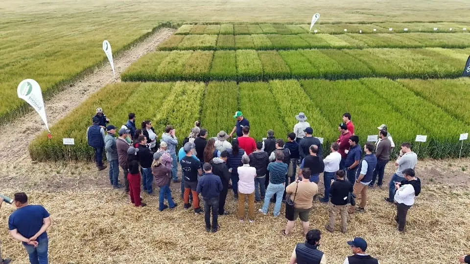 Cebada. Se dictaron charlas técnicas sobre distintas variedades del cultivo