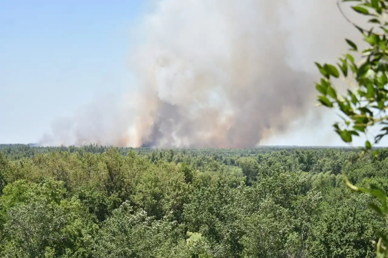 Incendios en la zona de islas: más de 38.700 focos ígneos en lo que va del año, en todo el delta