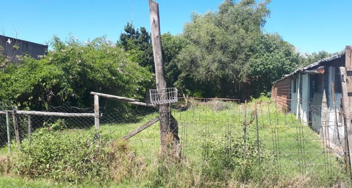 Otro intento de usurpación: Dos hombres aprehendidos en Combate de Obligado y San Lorenzo
