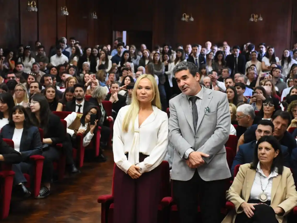 fiscales subrogantes