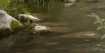 Un arroyo al lado