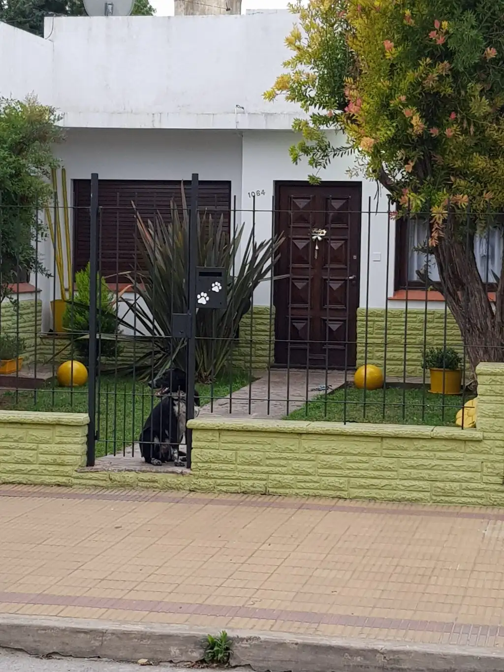 No se queje si no se queja
