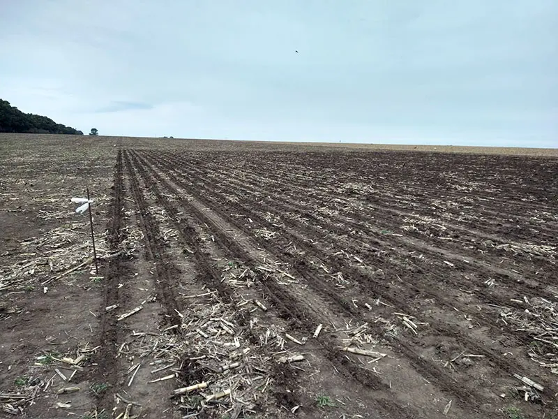 Sequía: las lluvias trajeron alivio, pero no son suficientes