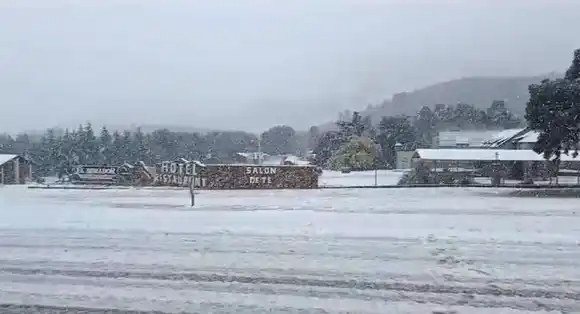 Por la nieve en Tornquist, la comarca serrana se cubrió de blanco: Las imágenes más bellas del fenómeno