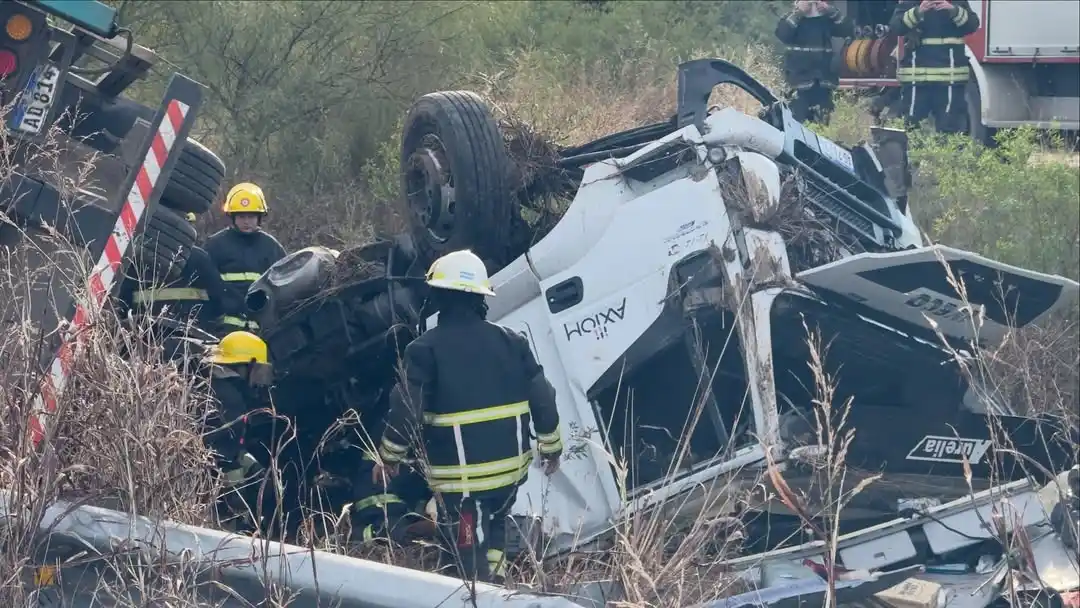 Un camión que transporta cerdos volcó en autovía 19: un conductor herido