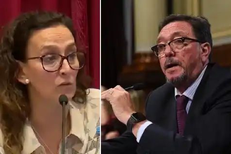 El picante cruce entre la vicepresidenta Gabriela Michetti y el senador "Pemo" Guastavino