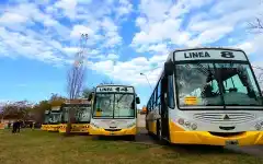 Transporte: En septiembre se incorporarán más unidades