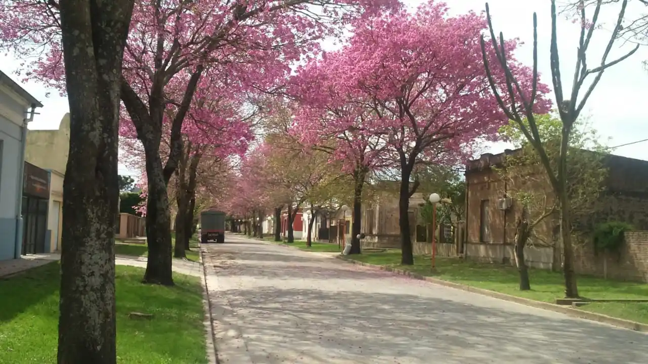 Dorffest: una noche de músicos, tradiciones populares y el recuerdo de las bodas de antaño