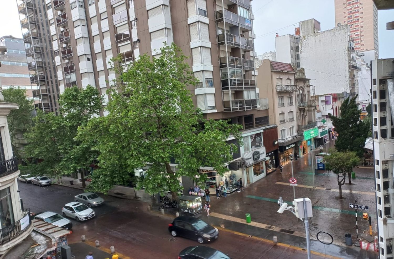 Te extrañábamos: vuelven las lluvias a Mar del Plata