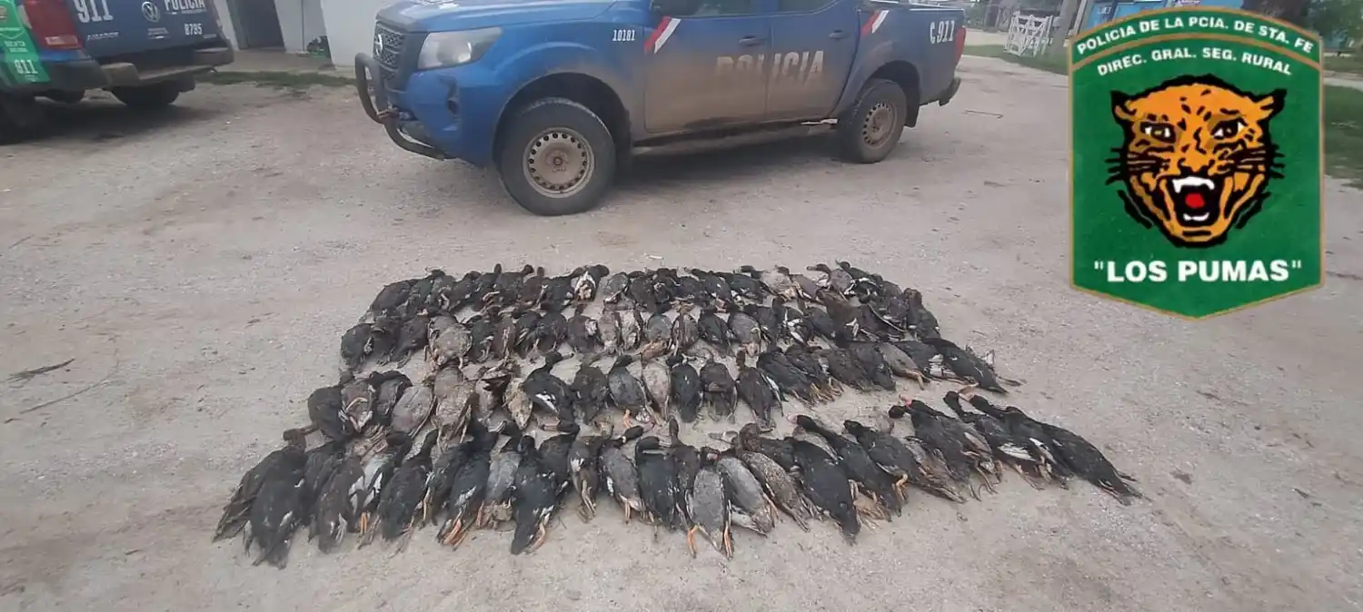 San Jorge: infraccionaron a cuatro personas por caza ilegal de aves silvestres