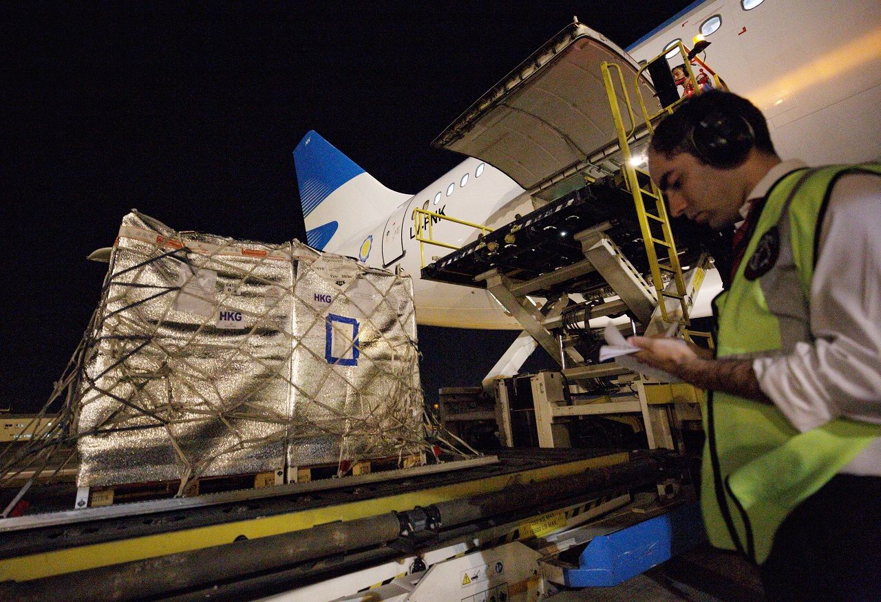 Cerezas argentinas a China, por primera vez en avión, y en Aerolíneas Argentinas