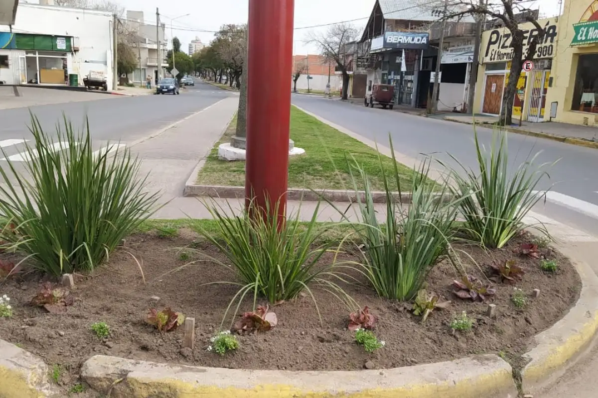 "Huertas urbanas", la nueva iniciativa de la dirección de Espacios Públicos 
