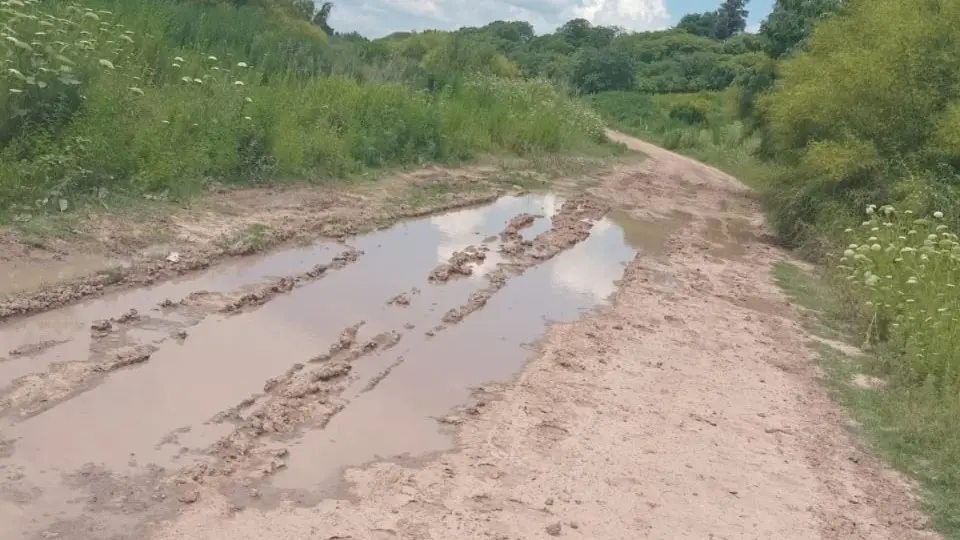 Así se encuentra la bajada de Mataderos y Cantando en el Río